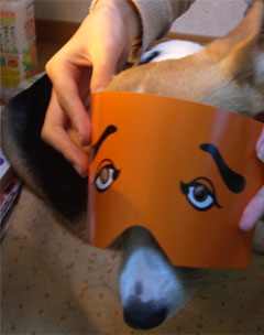 �O�������Ȃ��E�E�E